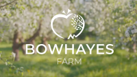 Bowhayes Farm Camping